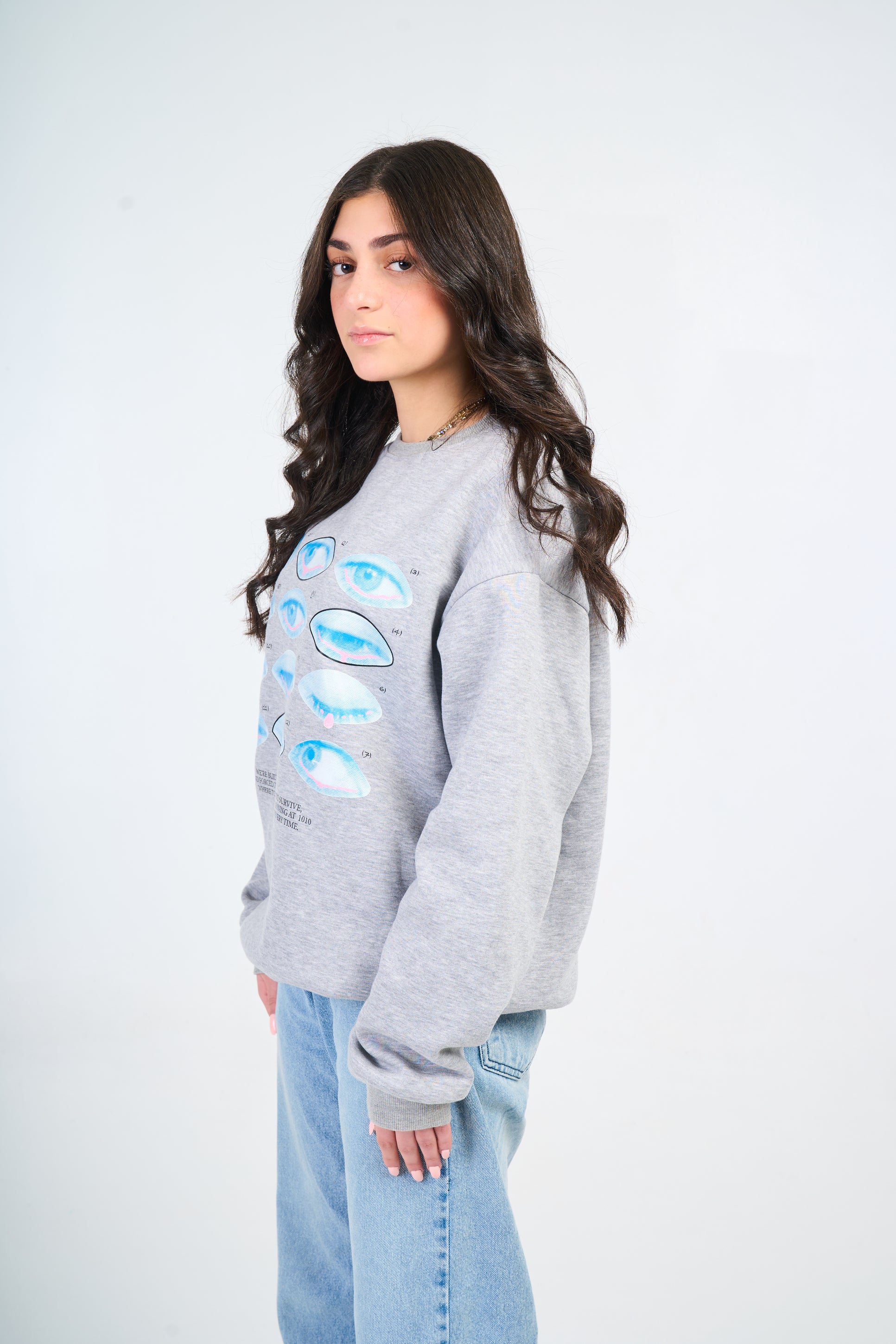 VOICES INSIDE GREY 1010 CREWNECK